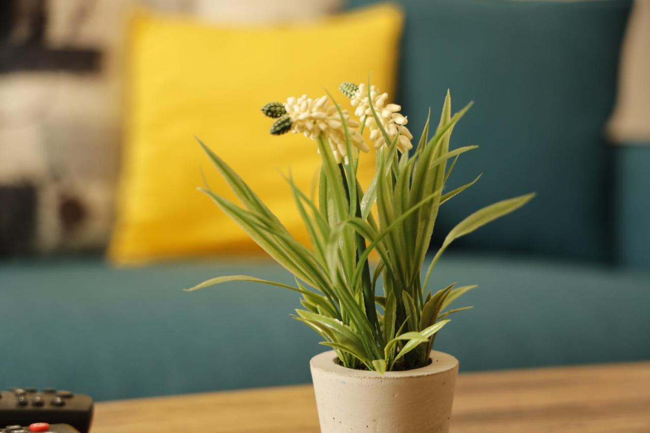 Apartments Harmony Žabljak Kültér fotó